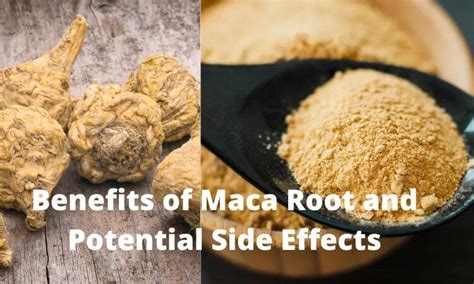 4 Benefits of Maca Root (and Potential Side Effects) .